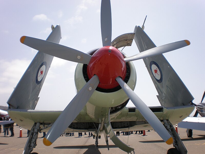 File:Hawker Sea Fury Mk. 11 front.JPG