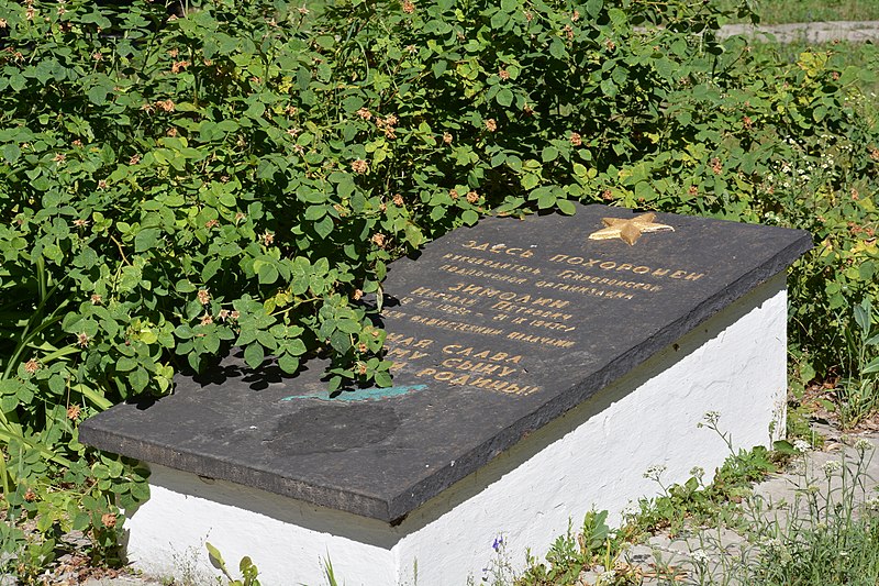 File:Hayvoron Military Cementary Grave of Zimolin (YDS 0385).jpg