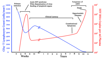 A graph with two lines. One in blue moves from high on the right to low on the left with a brief rise in the middle. The second line in red moves from zero to very high then drops to low and gradually rises to high again