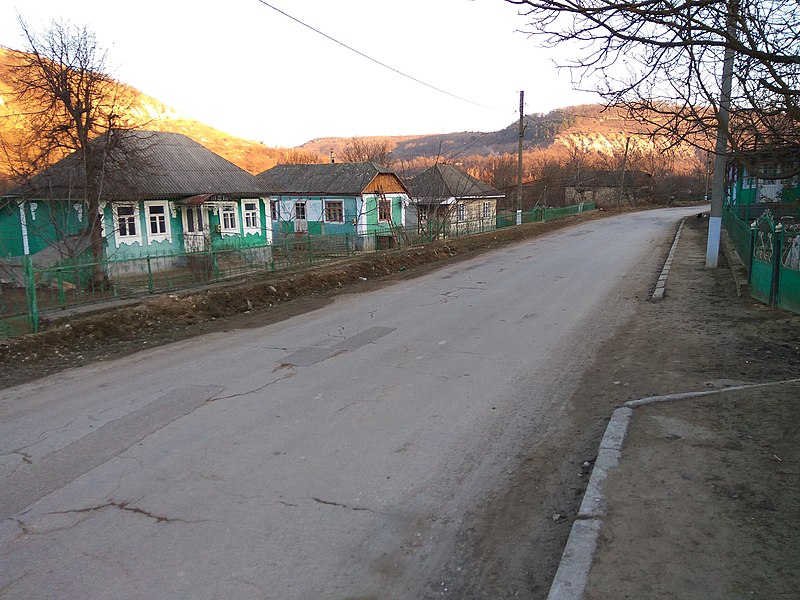 File:Houses in Unguri.jpg