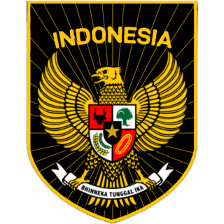 <span class="mw-page-title-main">Indonesia national football team</span> National association football team