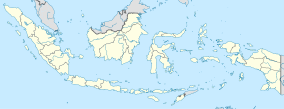 Map showing the location of Tanjung Puting National Park