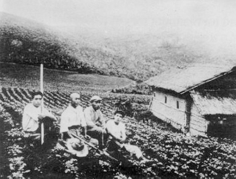 File:Japanese Immigrants in their own Potato Farm.jpg