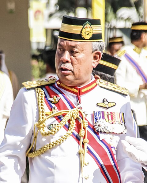 File:Jen TS Zulkifeli Mohd Zin (cropped).jpg