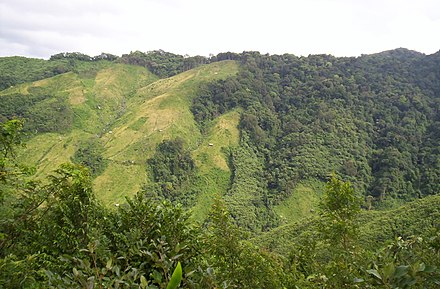 Jhum cultivation, or cut-and-burn shift farming, in Nokrek Biosphere Reserve of Meghalaya.