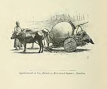 Tinajero georgiano: Clive Phillips-Wolley (del libro "Savage Svanetia", 1883).