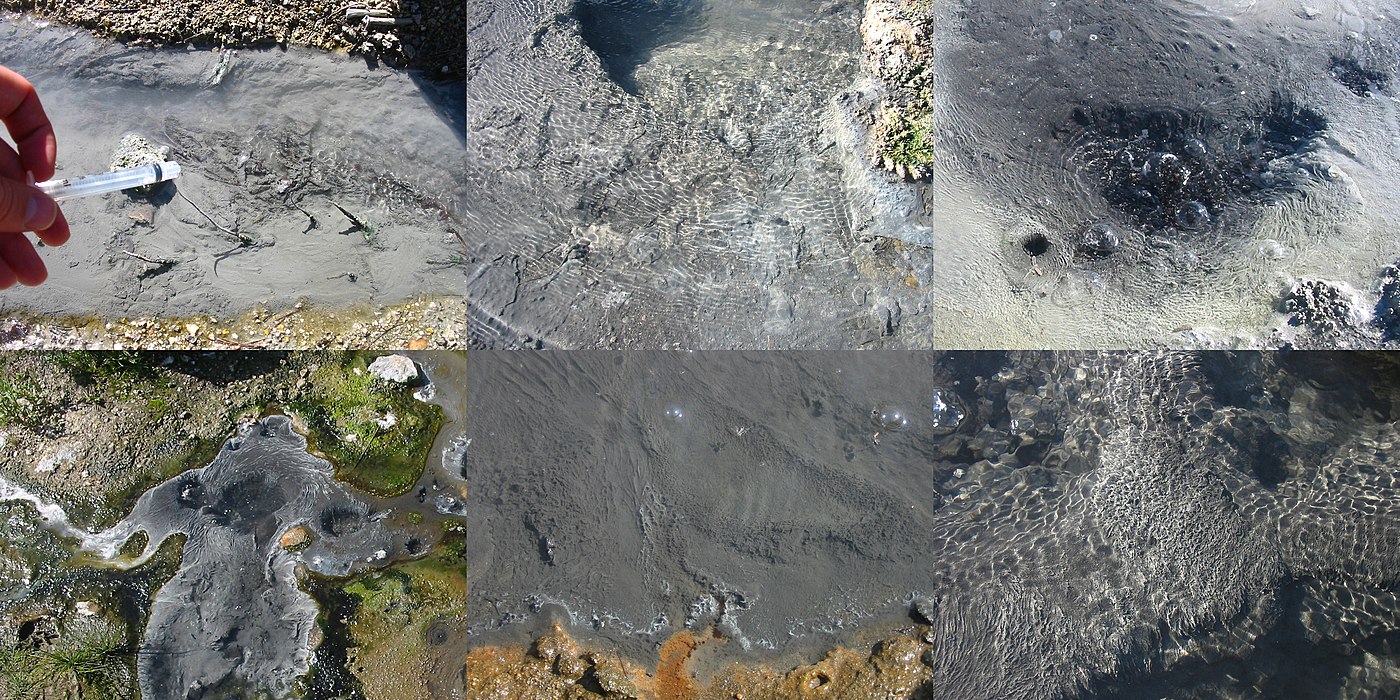 Each of these six hot springs (clockwise from top left: Uzon4, Uzon7, Uzon8, Uzon9, Mut11, Mut13) in Kamchatka was found to contain Korarchaeota.[7]