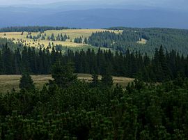 Kelimanio kalnų panorama