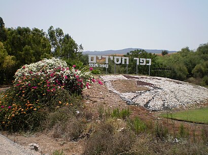 How to get to כפר חסידים with public transit - About the place