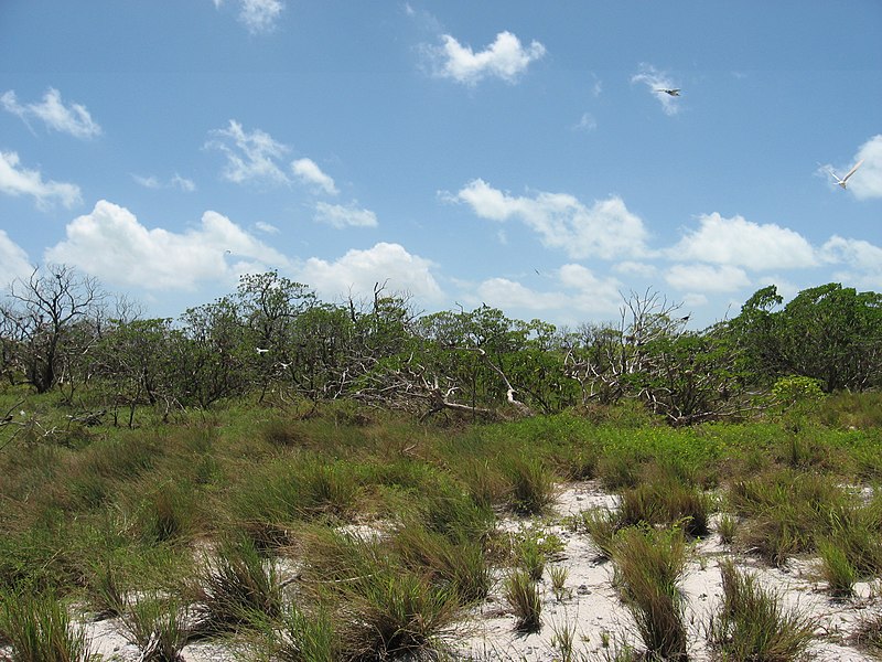 File:Kiribati(057).JPG