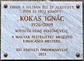 Kokas Ignác Máglya köz 3.