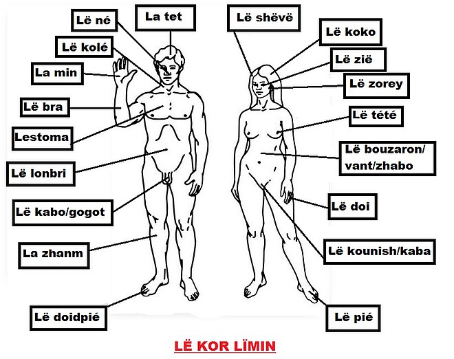 Vocabulaire du corps humain en Créole réunionnais