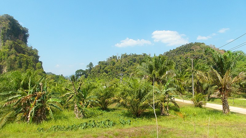 File:Krabi, 2014 (february) - panoramio (62).jpg