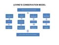 LEVINE'S CONSERVATION MODEL.pdf