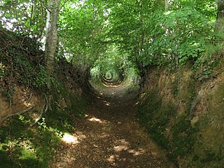 Sunken lane