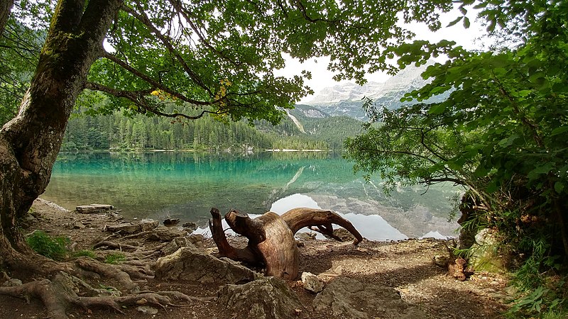 File:Lago di Tovel, Parco Naturale Adamello Brenta.jpg