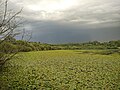 Lagoa de Sobrado