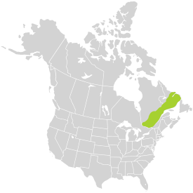 laurentian mountains physical map