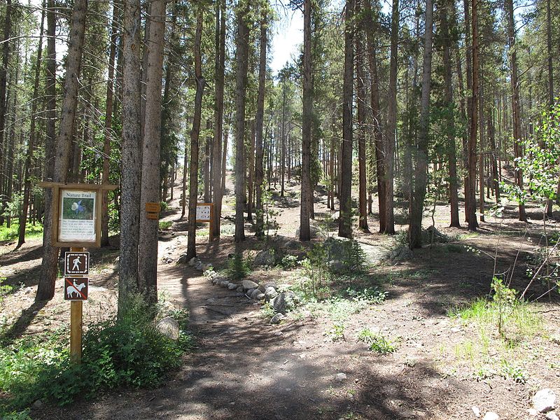 File:Leadville National Fish Hatchery (4857671452).jpg