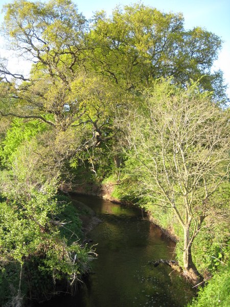 File:Leigh Brook - geograph.org.uk - 1284673.jpg