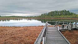 Leivonmäki national park.jpg