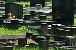 Miniatuur voor Bestand:Light and shade, Heanor Cemetery - geograph.org.uk - 5469177.jpg