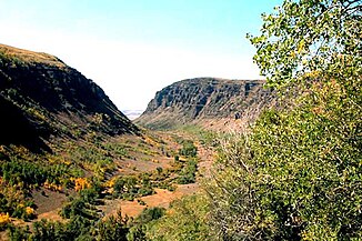 Gorge on the Little Blitzen River