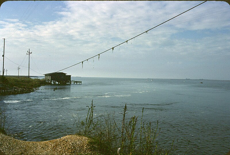 File:Louisiana Lake Cabin 1984.jpg