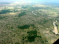 Gallery forest along the banks of the Noura river, Mabifia.