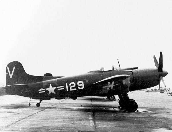 A Naval Air Reserve AM-1Q