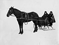 Mayor John S Coply and his wife in a horse-drawn sleigh, April 5, 1906 (AL+CA 7507).jpg