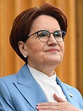 Meral Akşener için küçük resim