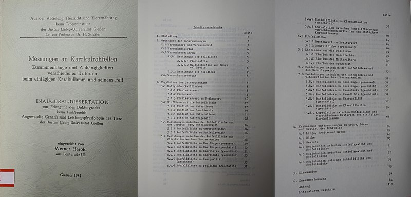 File:Messungen an Karakulrohfellen - Zusammenhänge und Abhängigkeiten verschiedener Kriterien beim eintägigen Karakullamm und seinem Fell, Werner Herold, 1974.jpg