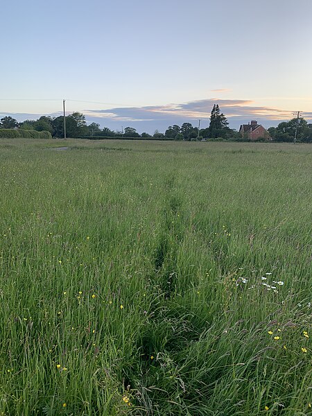 File:Midsummer view over the common land at Huxham Green.jpg