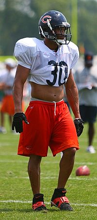 Mike Brown at the Chicago Bears 2007 Training Camp. Mike Brown in 2007.jpg