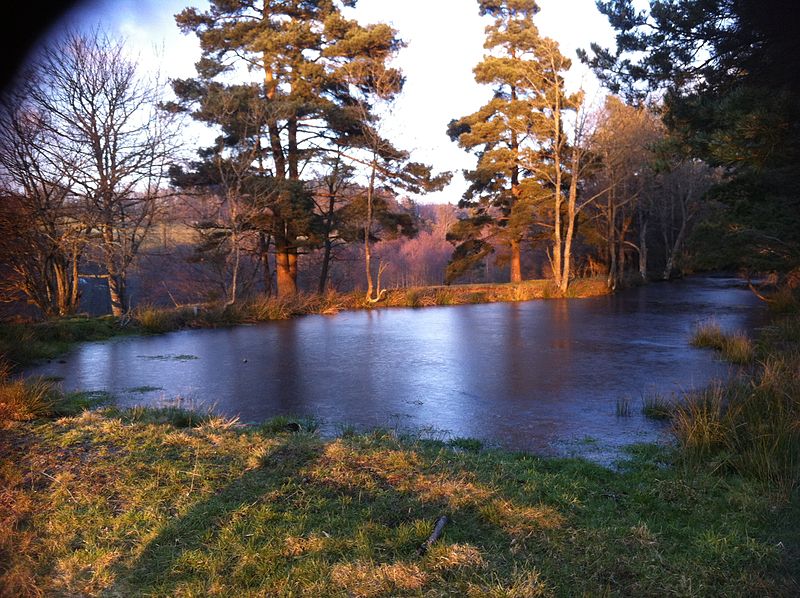 File:Milieu naturel à Marlhes.JPG