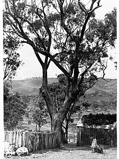 Craigburn Farm, South Australia Suburb of Adelaide, South Australia