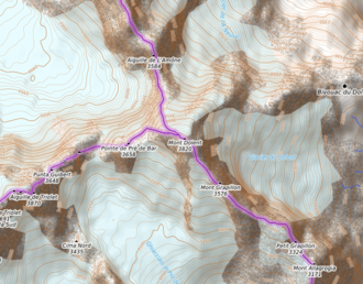 Carte topographique du mont Dolent.