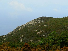 Monte Coccaro (insula Elba) .jpg