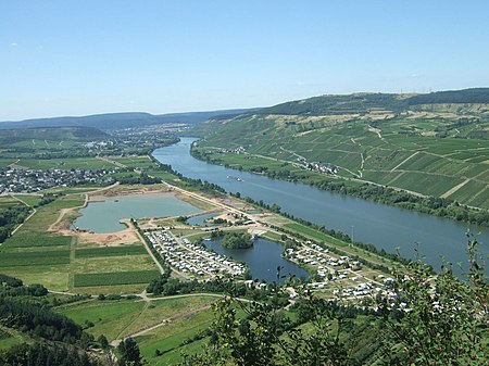 Mosel bei riol