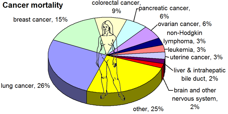 File:Most common cancers - female, by mortality.png