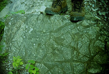 Mudcracks in rock at Roundtop Hill, Maryland