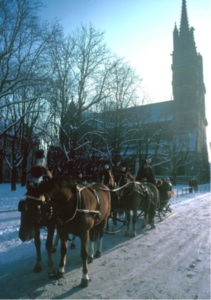 File:Museumsschlitten des Kutschemuseums in Brüglingen.png