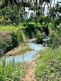 Mzizima Sacred Hot Springs stream, Tanga City Council.jpg