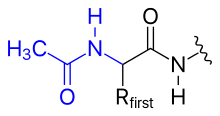 Fig. 1 N-terminal acetylation N-terminal acetylation.svg