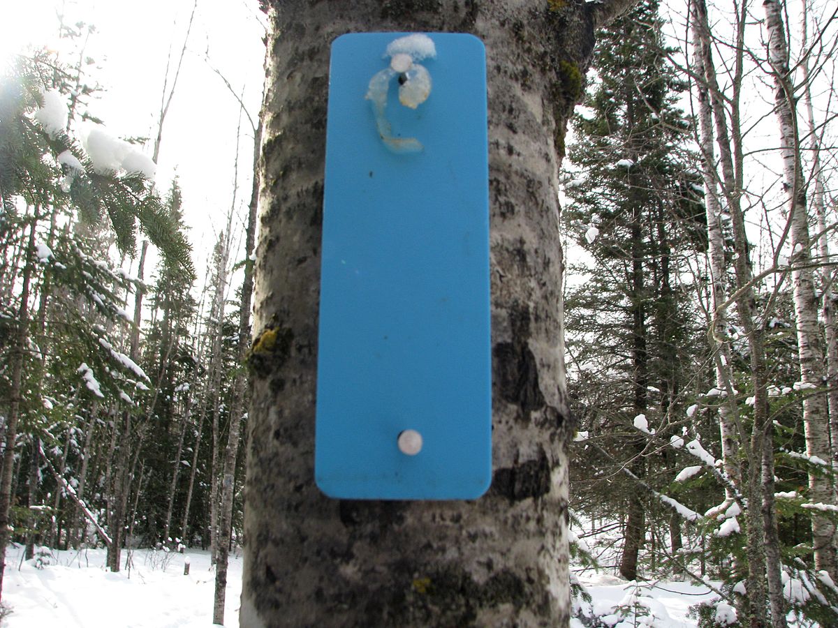 Северный троп. Северные тропы. North Country Trail.