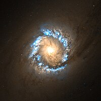 0,9' široký snímek hvězdotvorného prstence z Hubbleova vesmírného dalekohledu.