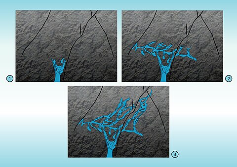 Mineralization Stages