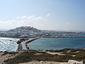 Naxos (bil-Grieg: Νάξος, Náxos, AFI: [ˈnaksos]) hija gżira Griega fil-Baħar Eġew, li tappartjeni għall-arċipelagu taċ-Ċikladi. Għandu 428 km² u 14,000 abitant, li jagħmilha l-akbar mill-gżejjer taċ-Ċikladi. Il-kapitali hija Naxos City u għandha 2900 abitant.