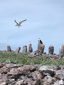 Necker Island Necker Island Standing Stones.jpg